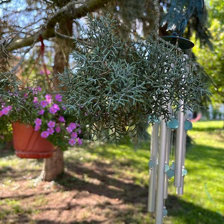 Buzavirag Apartman Szentbekkalla Bagian luar foto