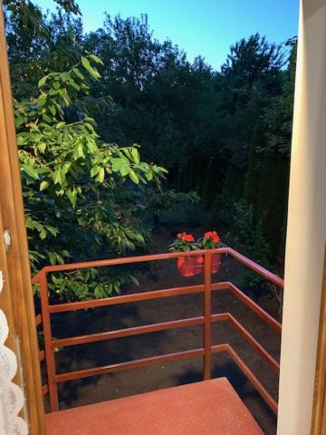 Buzavirag Apartman Szentbekkalla Bagian luar foto